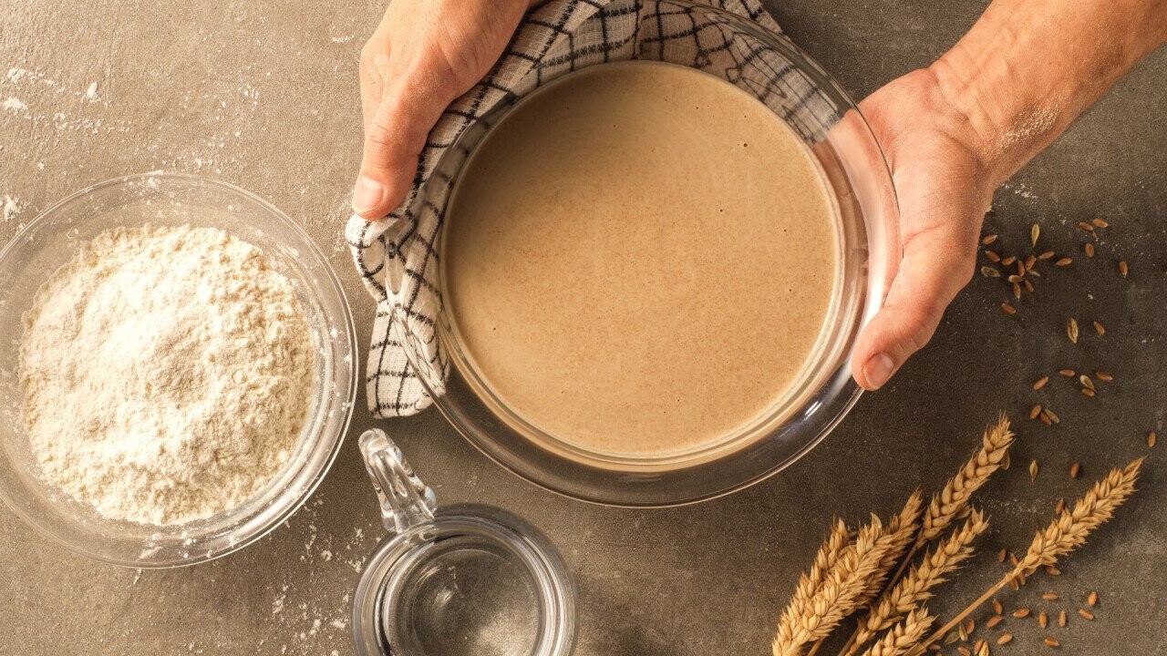 UNIFERM Vita Levain: Active, liquid wheat sourdough 