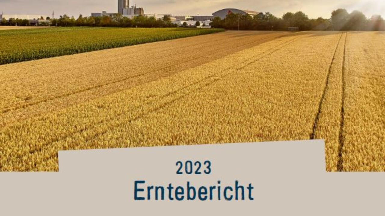 Wetterbedingte Lage macht die Ernte 2023 zu einer Herausforderung.