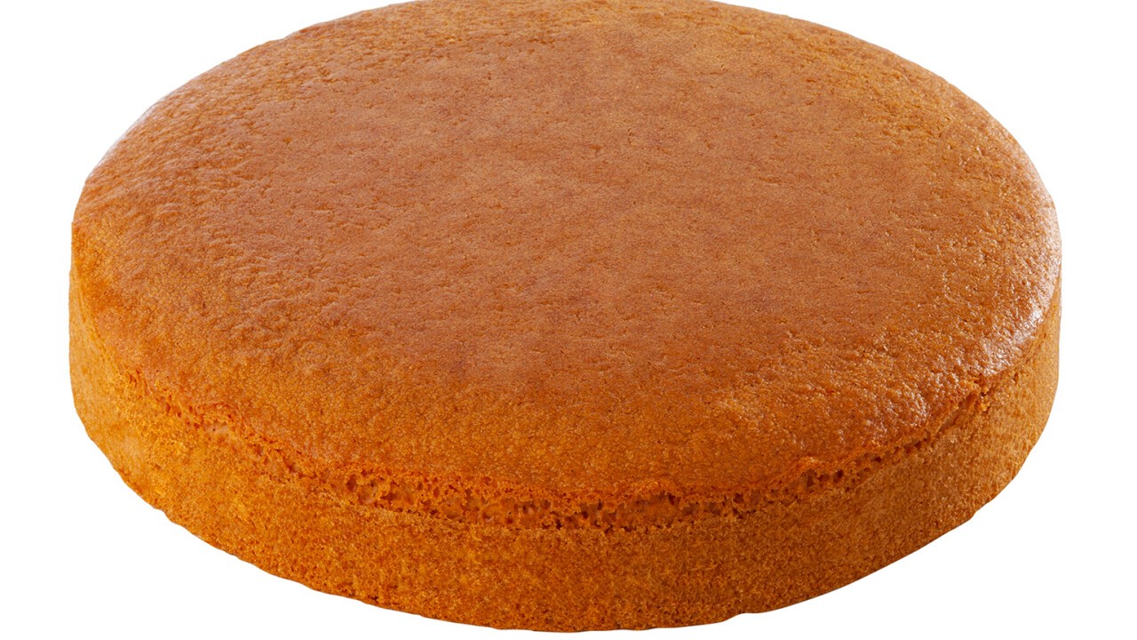 CARROT SPONGE CAKE Ø 24 H 4 CM 