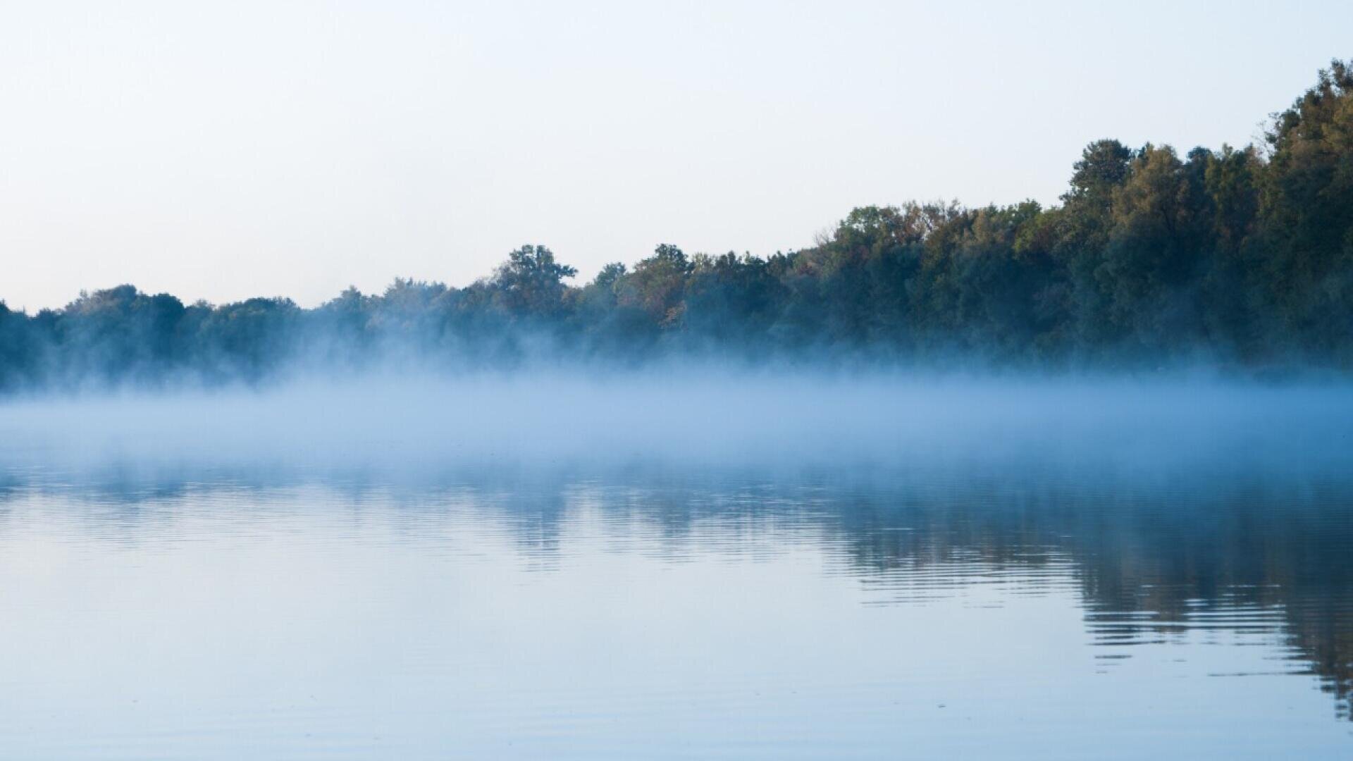 Calm lake with a layer of mist hovering above the water, dense green trees lining the opposite shore, and a clear, pale sky overhead.