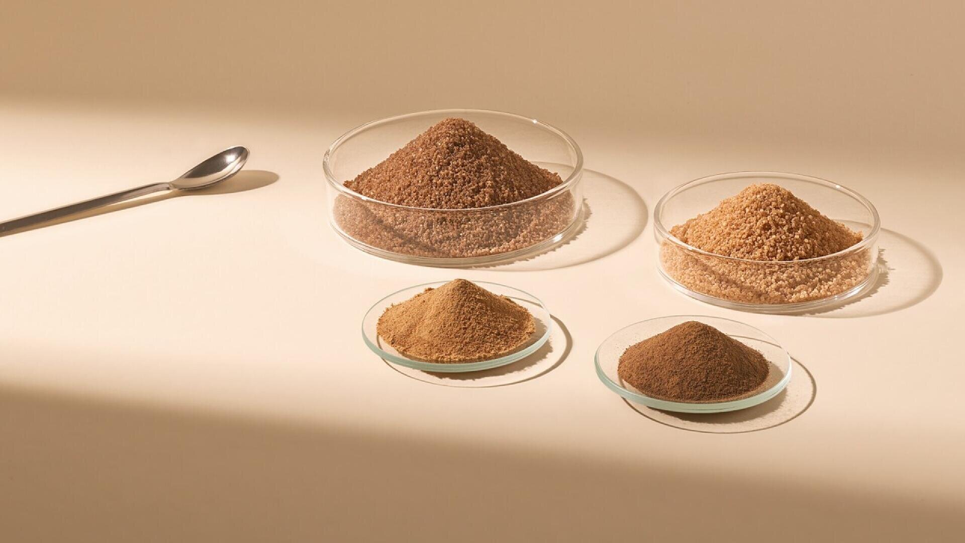 Four glass dishes containing mounds of various brown powders are arranged on a neutral surface. A metal spoon lies to the left, and soft lighting casts gentle shadows across the scene.
