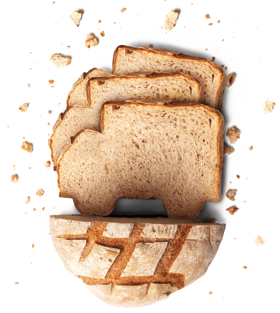 Drei Scheiben Vollkornbrot in Form von Lieferwagen liegen auf einem runden Brotlaib, auf dem Krümel auf weißem Hintergrund verstreut sind.