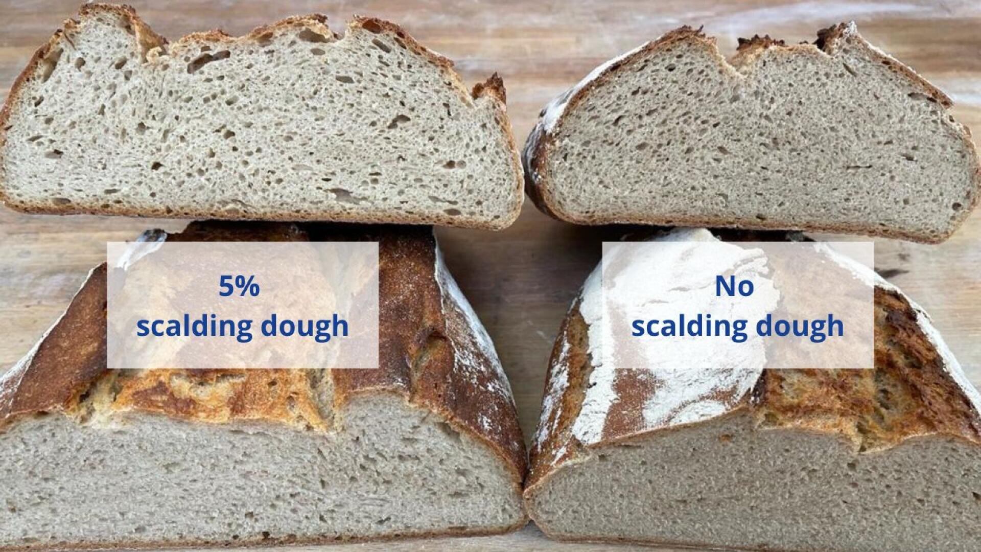 Two loaves of bread cut in half are shown side by side. The left loaf is labeled 5% scalding dough and the right No scalding dough, showing differences in crumb texture and crust appearance.