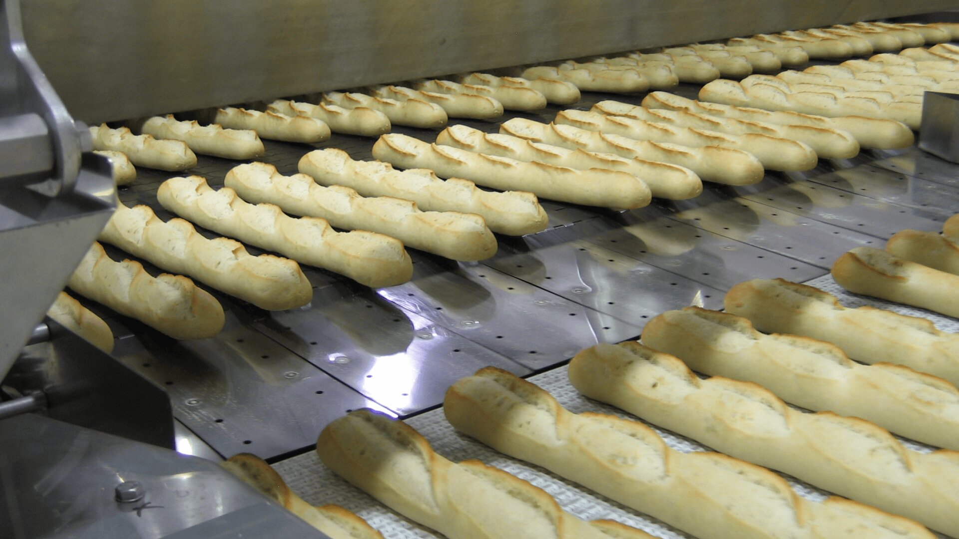 Rows of freshly baked baguettes move along a conveyor belt in an industrial bakery, passing under metal machinery.