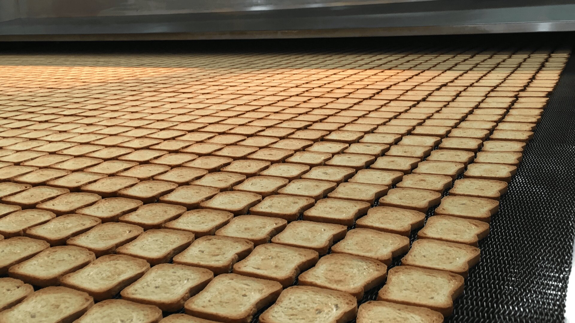 Rows of evenly spaced rectangular crackers or toasted bread slices move along a conveyor belt in a large commercial baking facility.