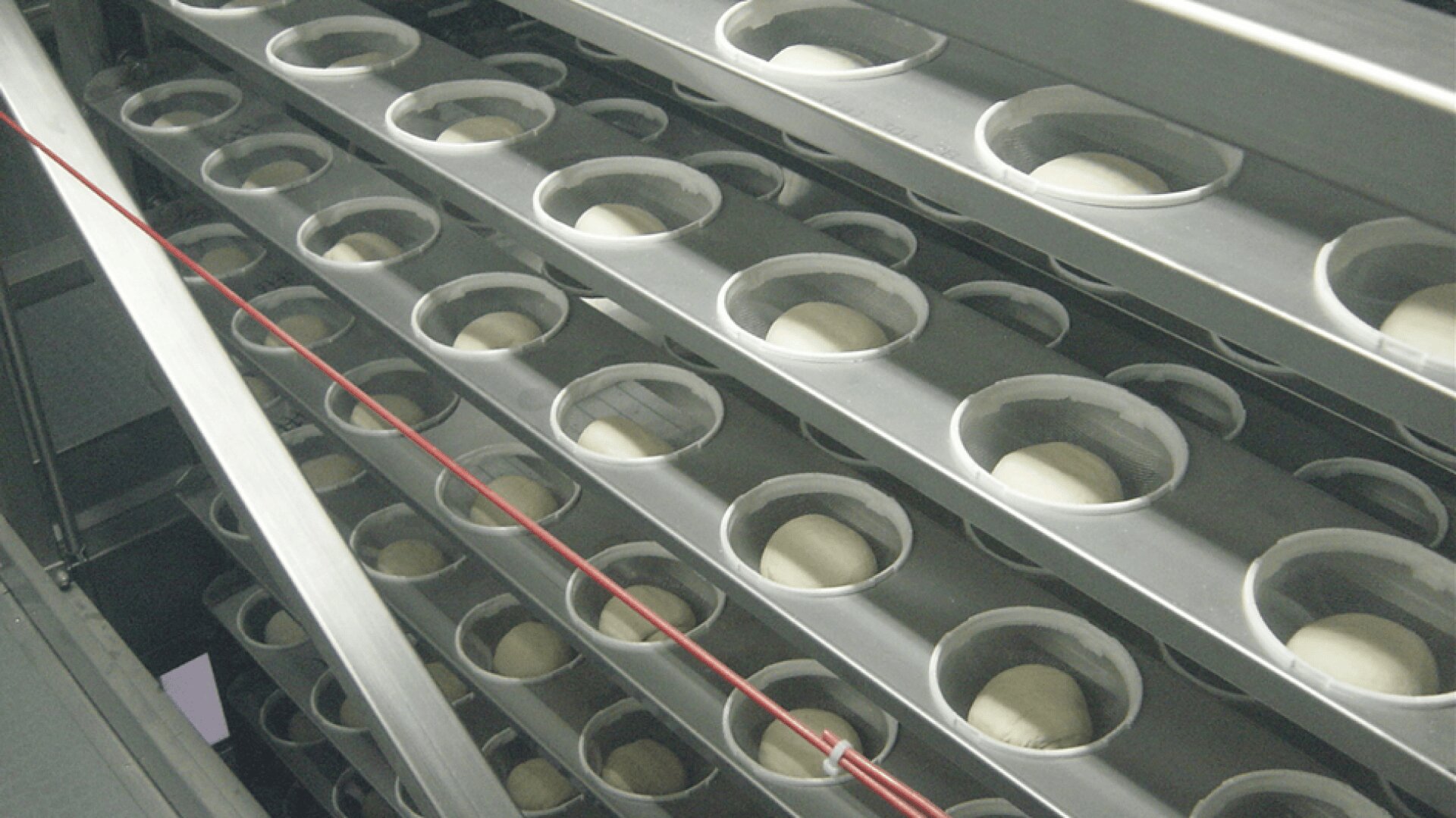 Rows of dough balls are placed in circular holders on metal trays inside an industrial bread proofer, preparing for baking.
