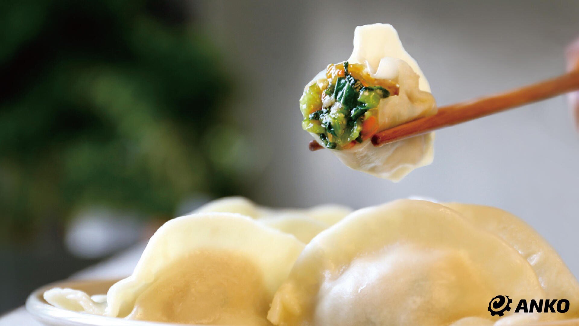 Eine Nahaufnahme von Knödeln auf einem Teller, mit Stäbchen, die einen mit Gemüse gefüllten Knödel halten. Das ANKO-Logo befindet sich in der Ecke.
