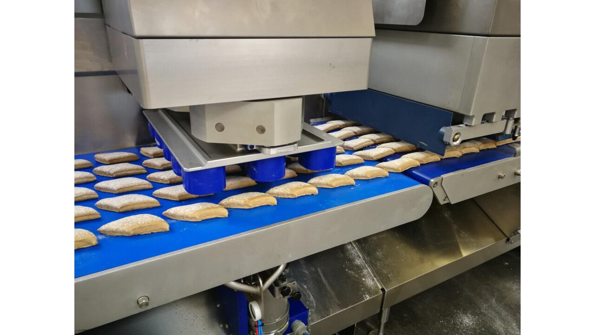 A food processing machine forms and arranges rows of dough pieces on a blue conveyor belt in a factory setting.