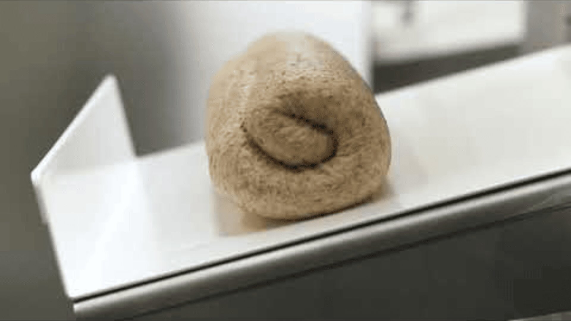 A rolled piece of dough sits on a white conveyor belt in what appears to be an industrial or commercial kitchen setting.