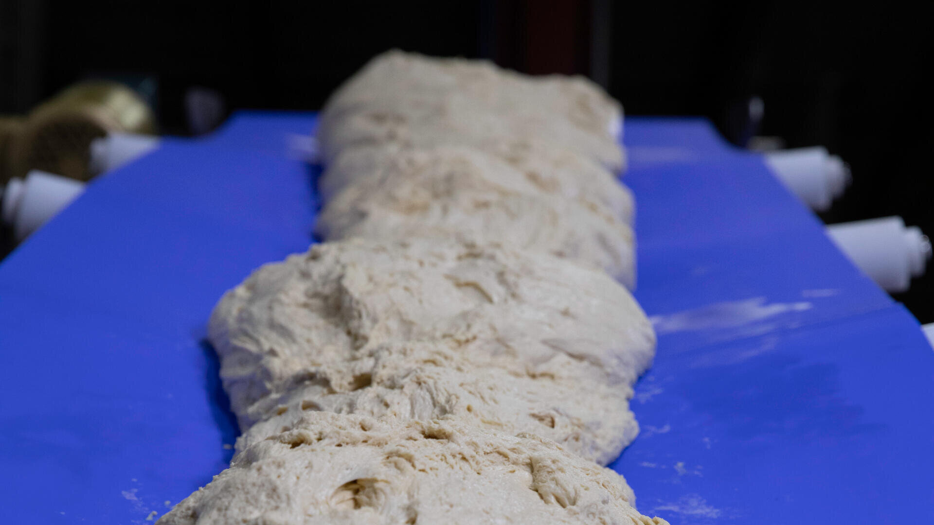 Large masses of raw dough are lined up on a blue conveyor belt, likely in a food processing facility.