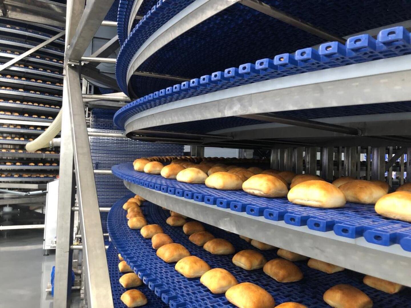 Rows of freshly baked bread rolls are cooling on a large, spiral conveyor system with blue trays inside an industrial bakery.
