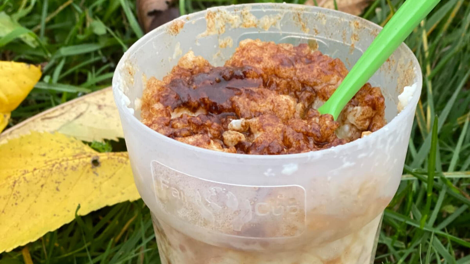 Ein durchsichtiger Plastikbecher mit Haferbrei und einem Klecks brauner Soße steht auf dem Gras. Darin befindet sich ein grüner Löffel, daneben liegen gelbe Blätter.