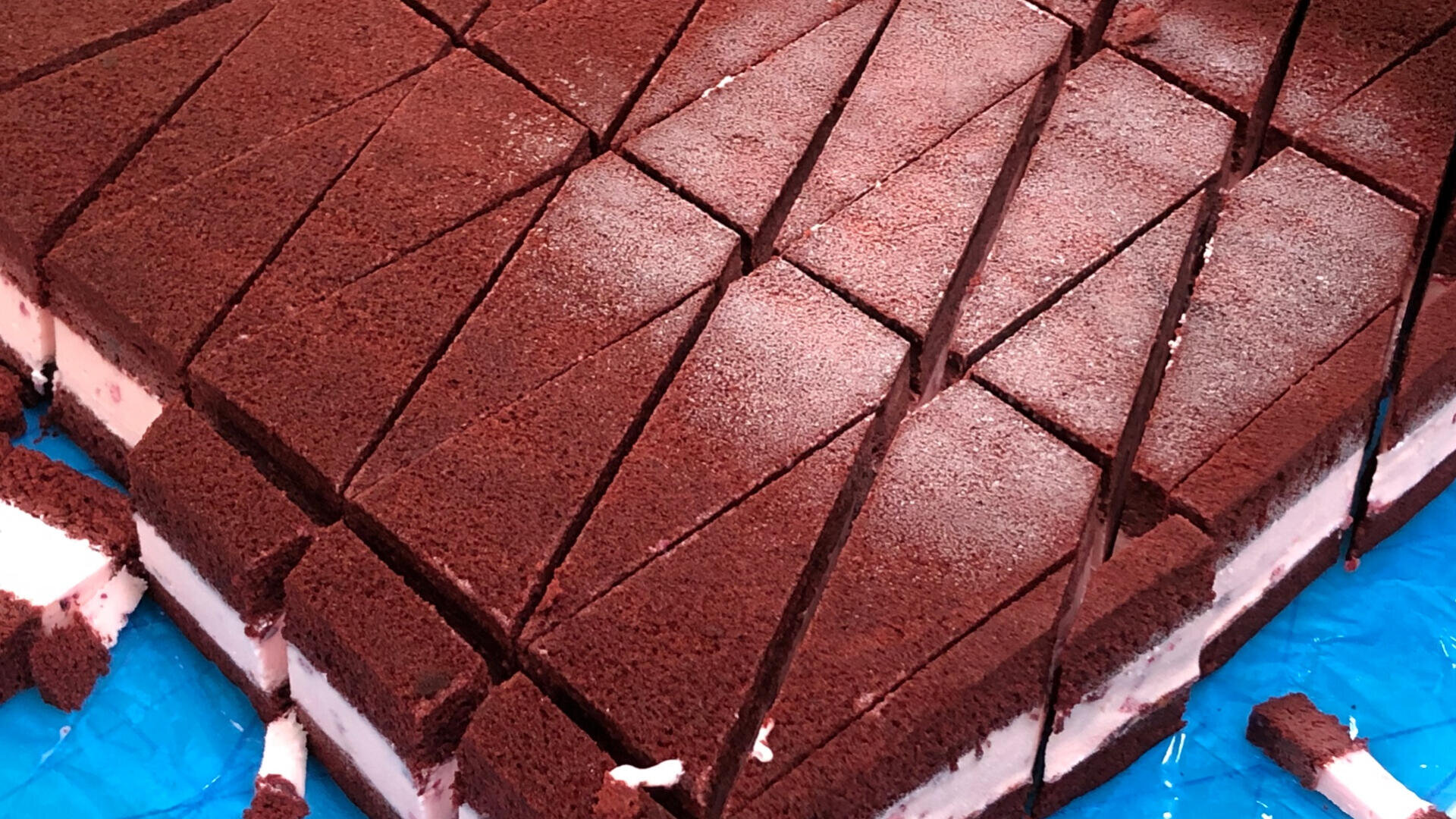 Close-up of rectangular chocolate and cream layered cake slices arranged neatly on a blue surface. The cakes are cut into uniform pieces with visible cream filling between two chocolate sponge layers.