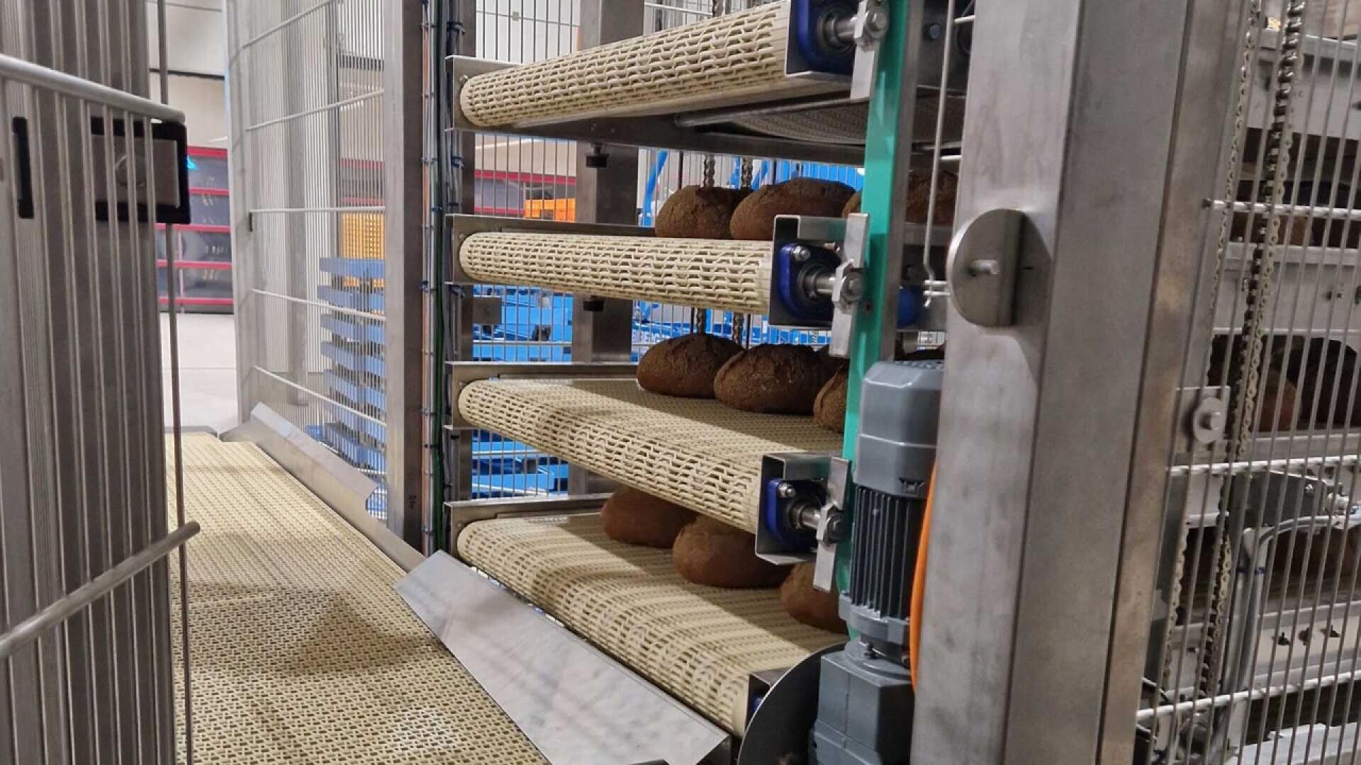 A close-up view of an industrial bread production line shows loaves of bread moving on multiple conveyor belts inside a metal machine, with blue racks visible in the background.