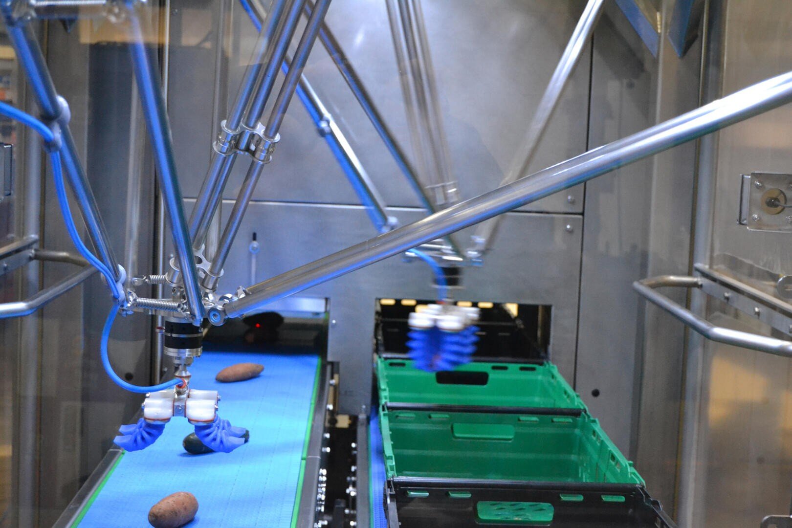 A robotic arm with a blue gripper picks up potatoes from a moving conveyor belt and places them into green plastic crates in an industrial setting.