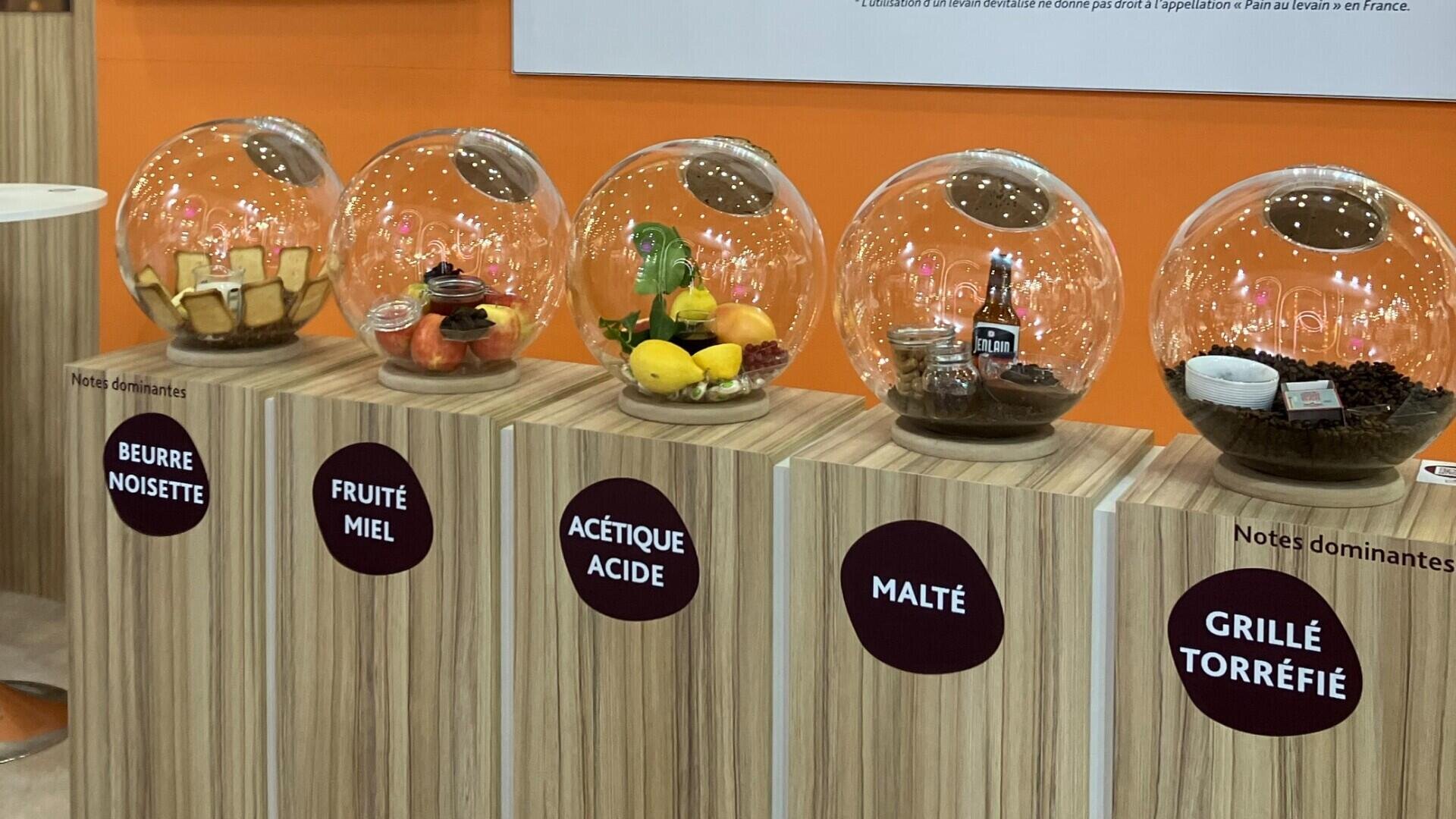 Five glass globes on wooden stands display various food items, each labeled in French with flavor notes: “Beurre Noisette,” “Fruité Miel,” “Acétique Acide,” “Malté,” and “Grillé Torréfié.”.