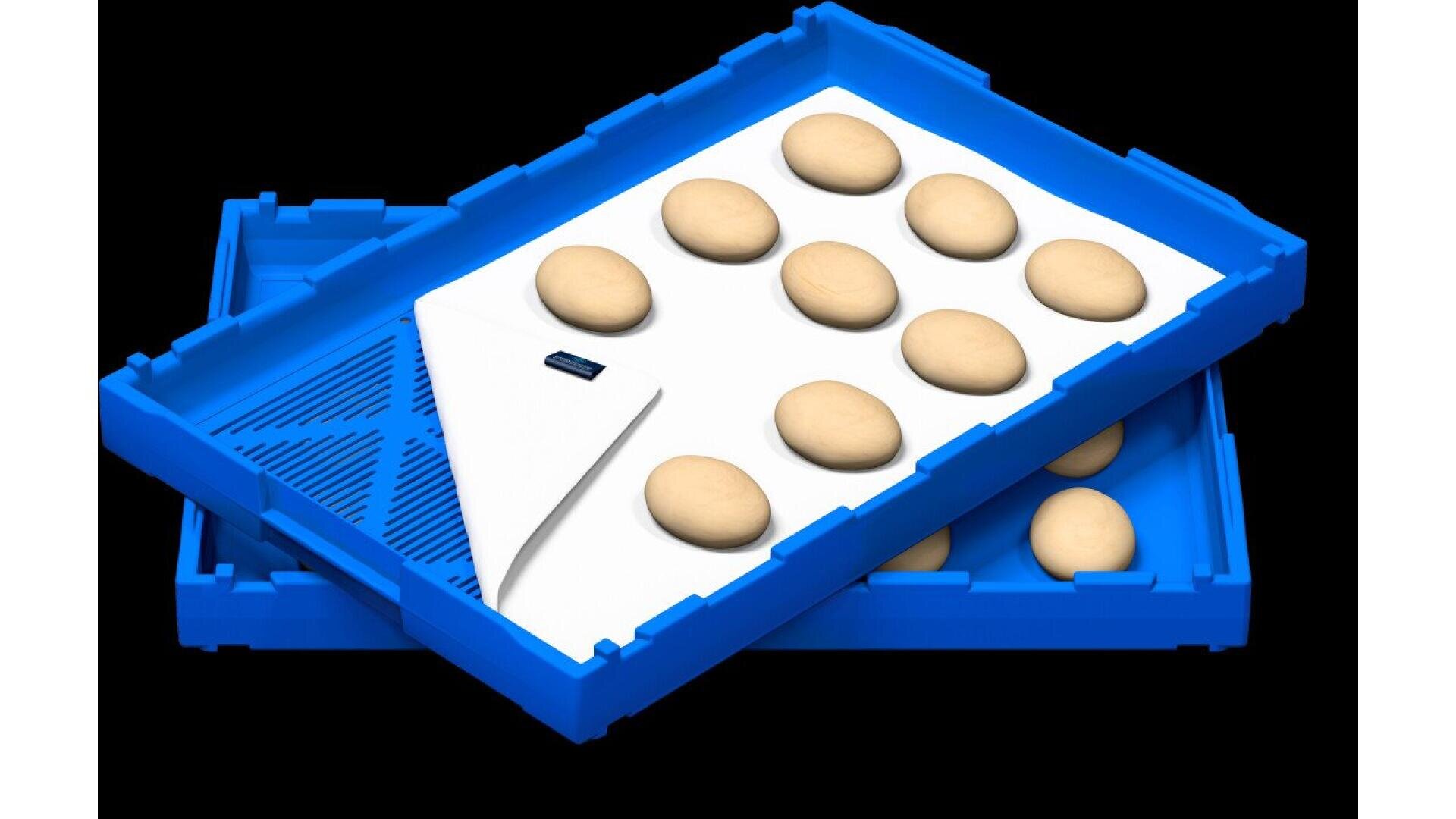 Two blue plastic trays are stacked, with the top tray holding a white liner and ten evenly spaced dough balls. The trays appear to be used for proofing bread or storing dough.
