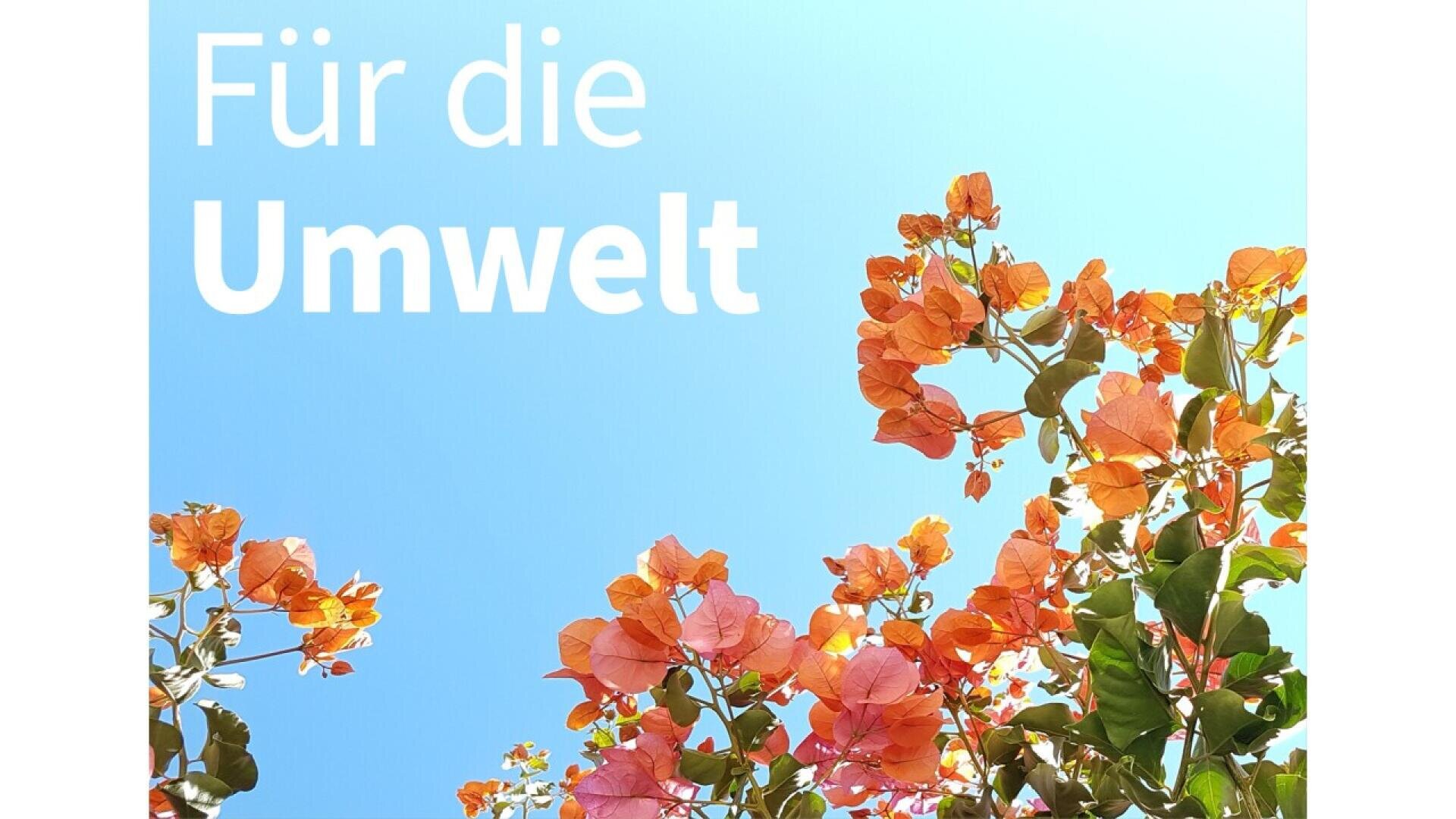 Bright orange flowers and green leaves against a clear blue sky, with German text Für die Umwelt (For the Environment) in white, bold on the left side.