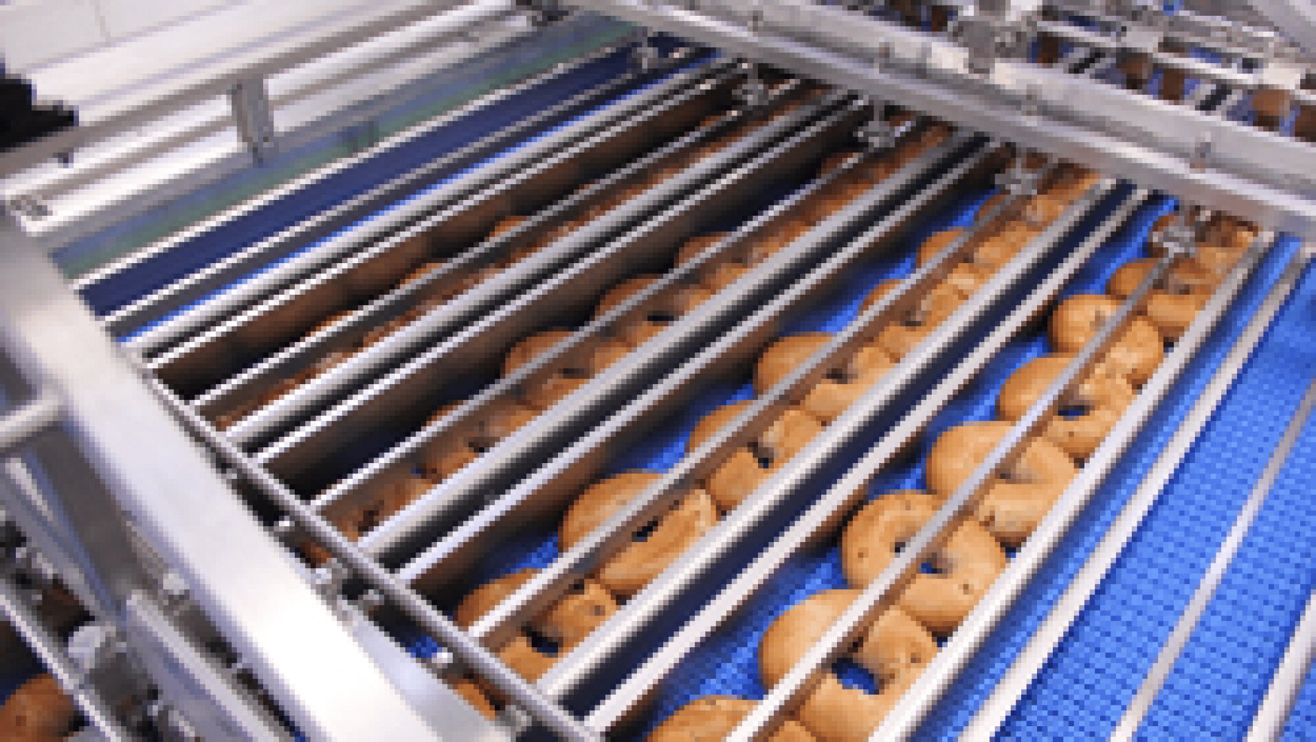 Bagels move along a blue conveyor belt under metal bars in a food processing factory, part of an automated production line.