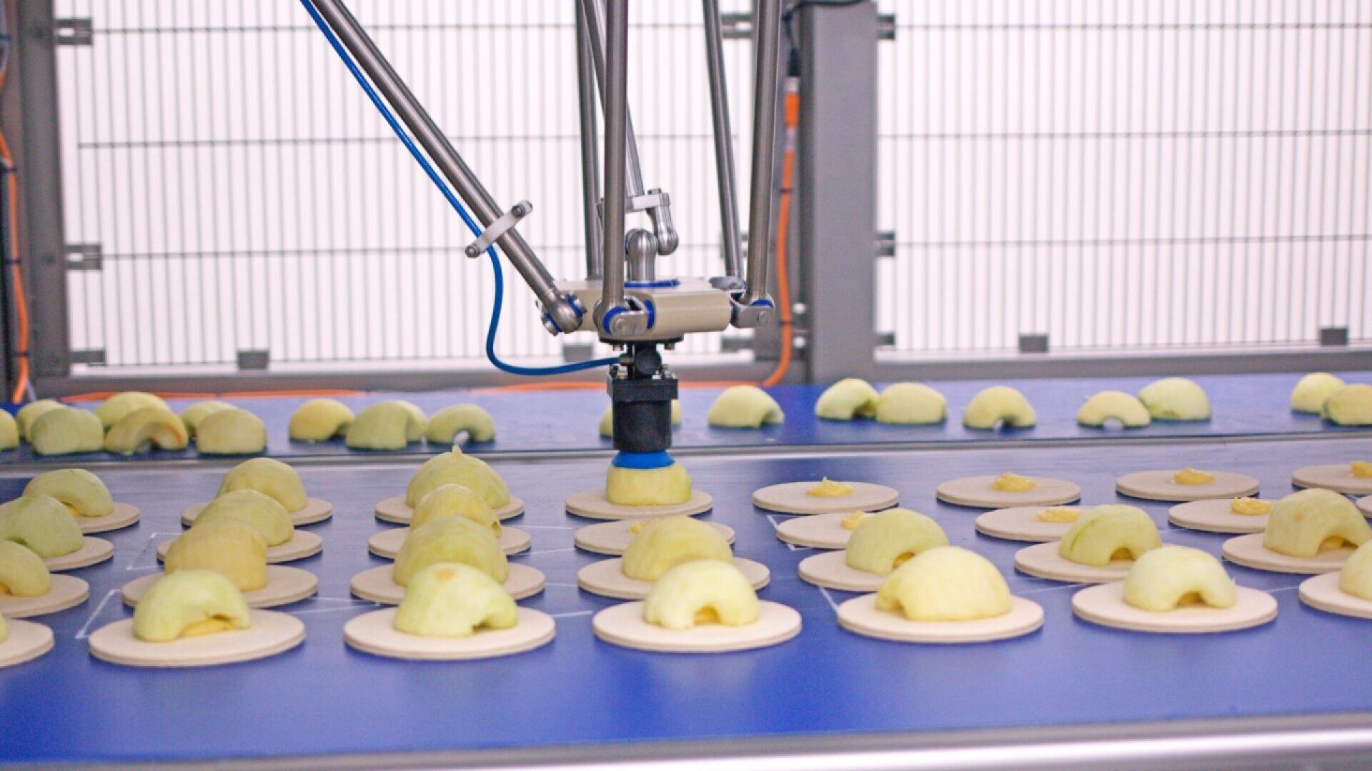 Ein Roboterarm mit einem Saugwerkzeug legt in einer automatisierten Lebensmittelverarbeitungsanlage Gebäckstücke auf runde Schalen auf einem Förderband.