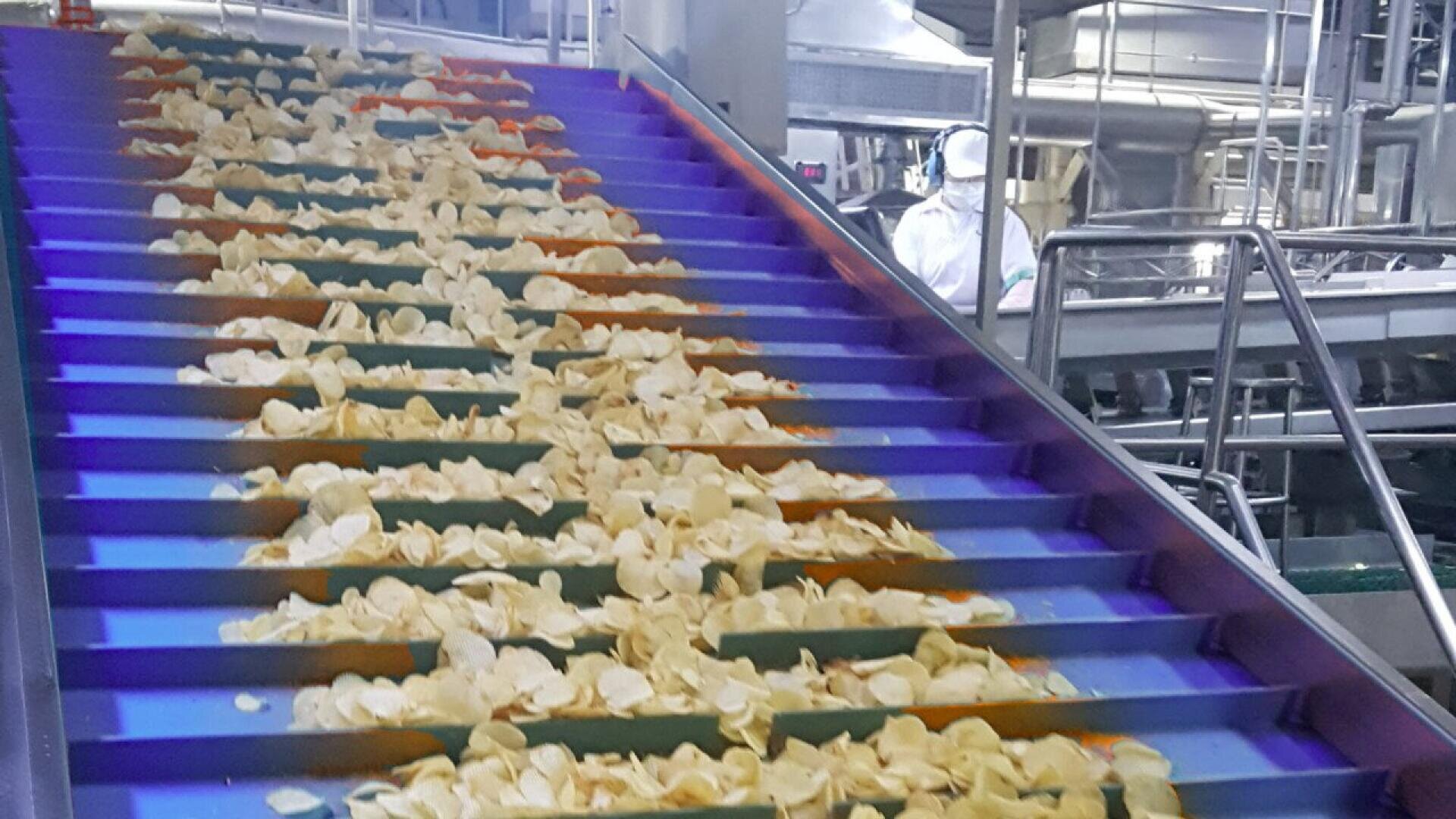 Potato chips move up a blue conveyor belt in a food processing factory, with a worker in protective clothing and safety gear visible in the background among stainless steel equipment.