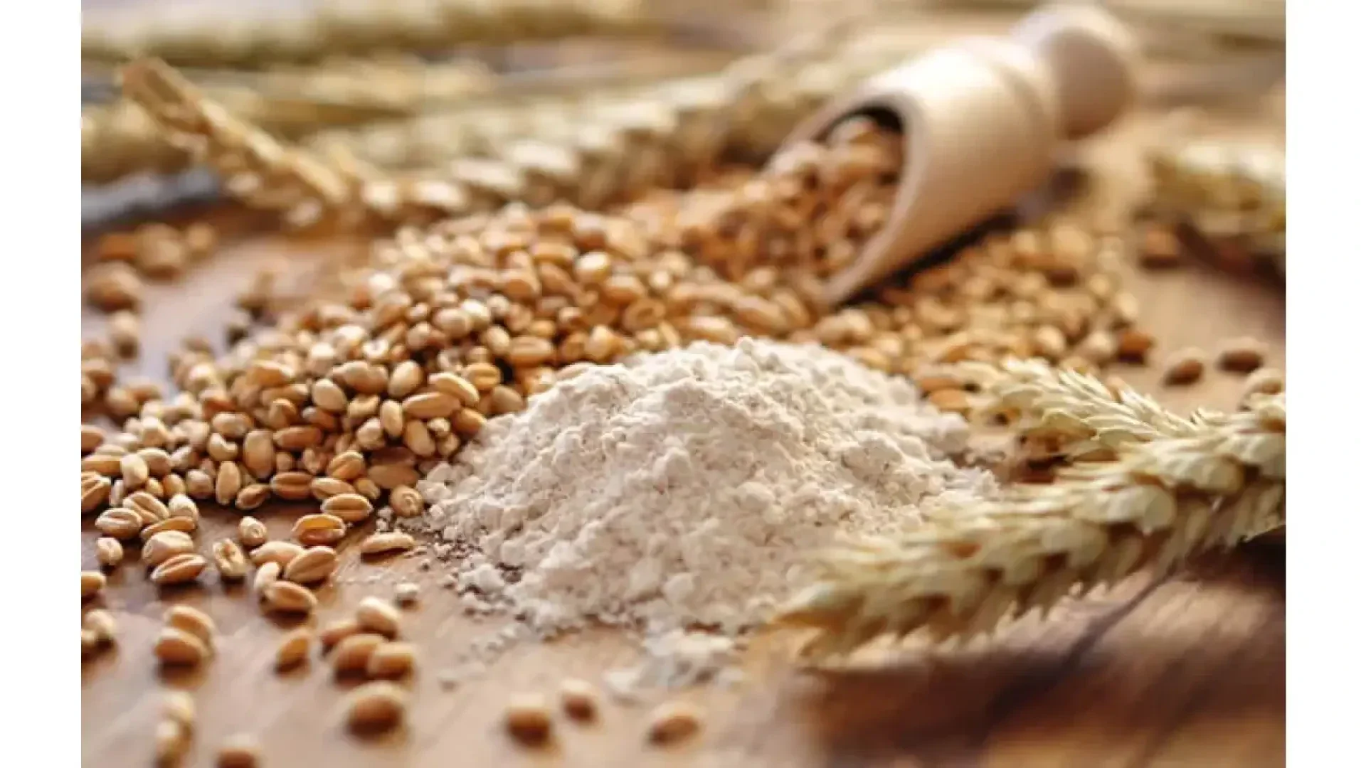 A close-up of wheat grains, a wooden scoop, a small pile of flour, and wheat stalks arranged on a wooden surface.