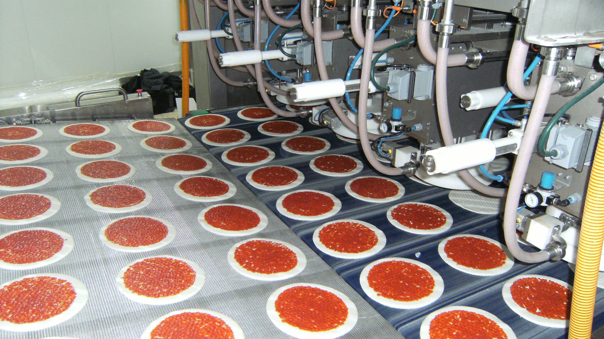 Rows of uncooked pizzas with tomato sauce are on a conveyor belt under a machine with pipes and nozzles, likely applying sauce in a food processing factory.