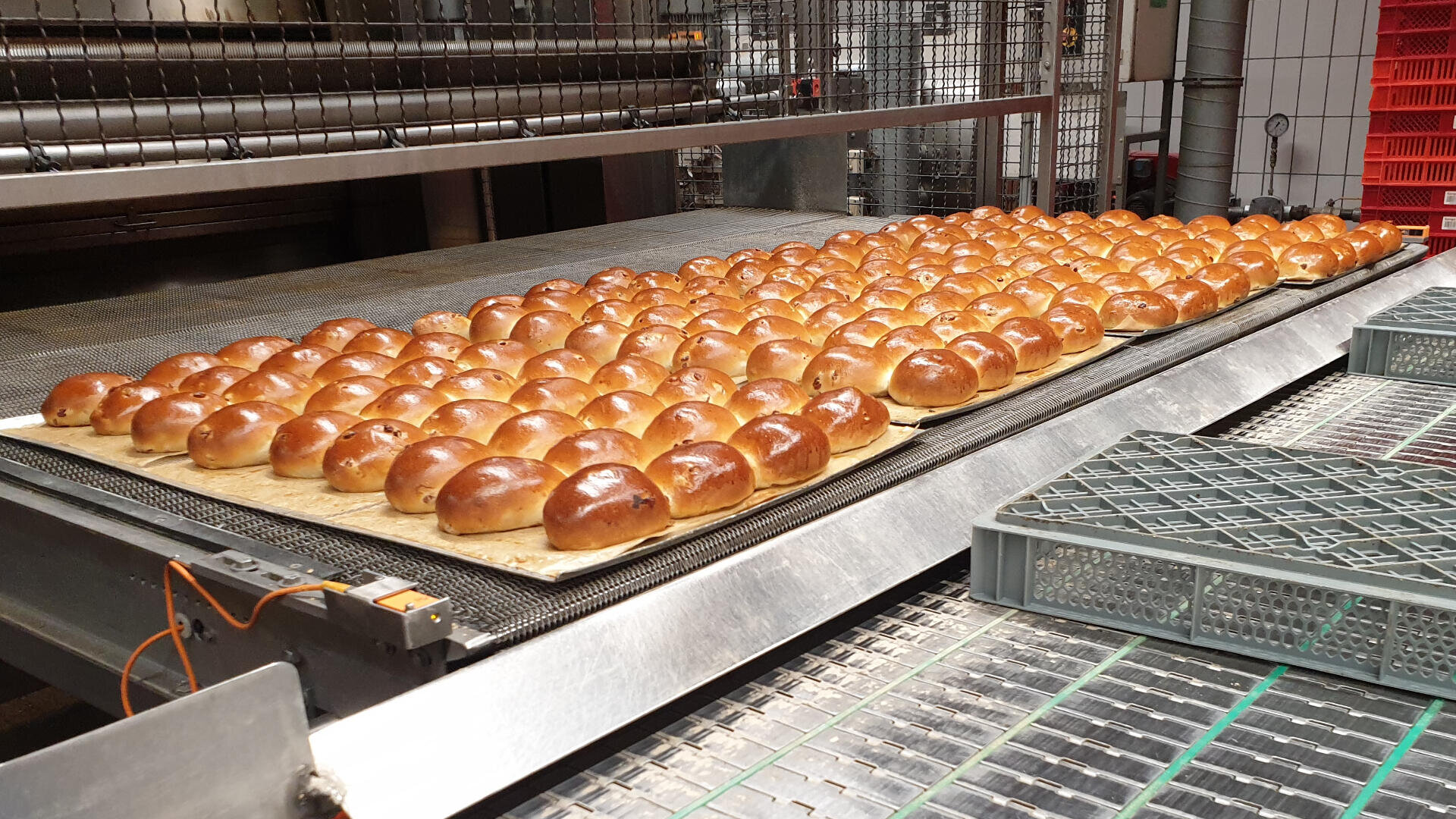 In einer industriellen Bäckerei sind Reihen glänzender, frisch gebackener Brötchen auf einem Fließband aufgereiht, im Hintergrund sind Metallgestelle und Geräte zu sehen.