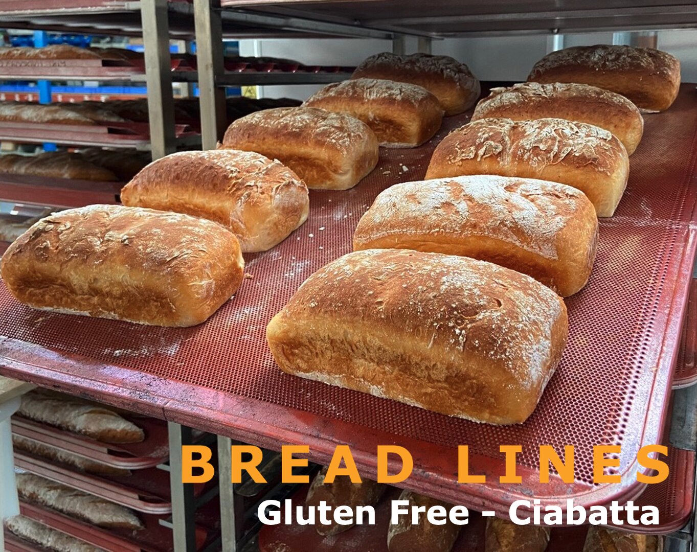 Several loaves of golden-brown ciabatta bread cool on red baking racks in a bakery. The image includes the text BREAD LINES Gluten Free - Ciabatta in bold yellow and white letters.