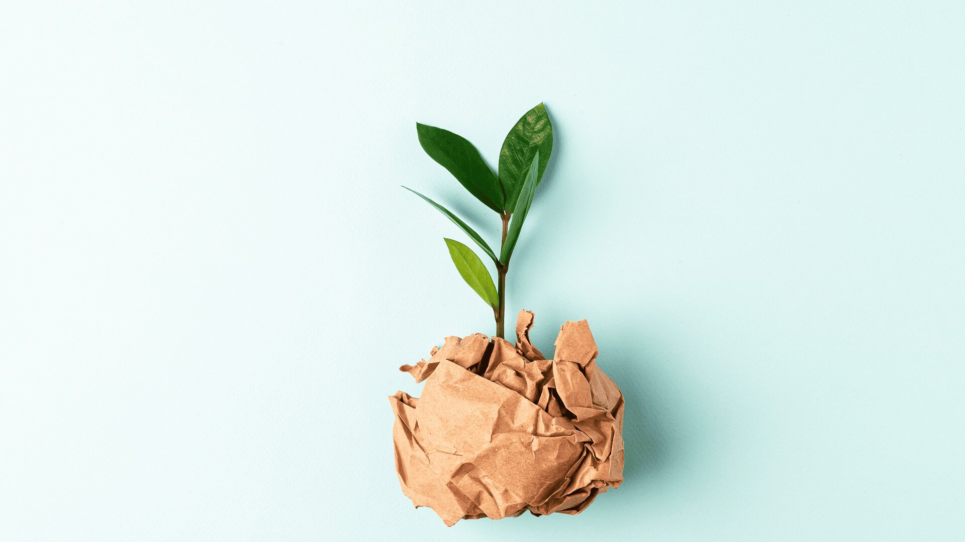 Eine kleine grüne Pflanze wächst aus einem Knäuel zerknüllten braunen Papiers vor einem hellblauen Hintergrund und symbolisiert Nachhaltigkeit und umweltfreundliches Wachstum.