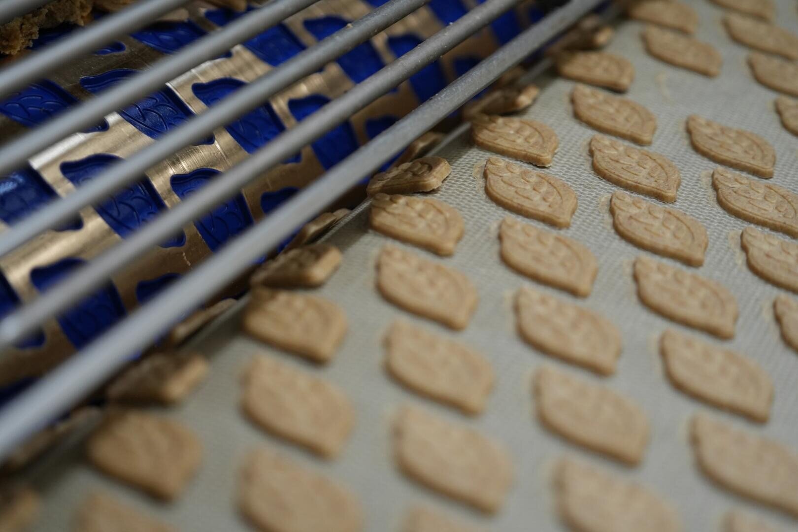 Nahaufnahme einer Maschine, die aus Teig auf einem Förderband Reihen von Keksen mit Blattmuster formt.