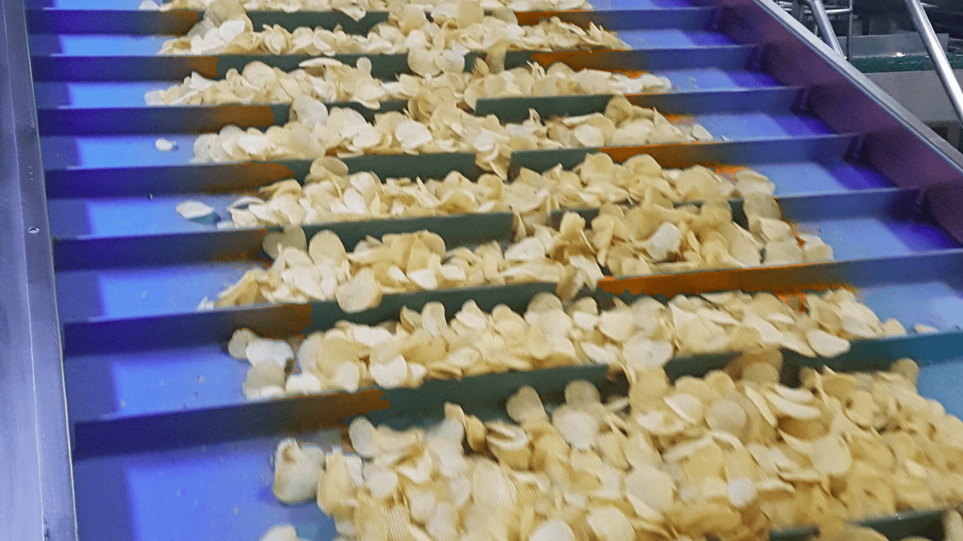 Potato chips moving along a blue conveyor belt in a food processing plant, separated by green dividers as part of an automated production line.
