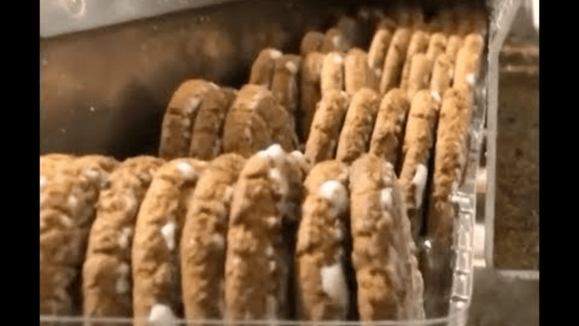 In einer Fabrik reihen sich mit weißer Creme gefüllte Haferflockenkekse auf einem Fließband aneinander.