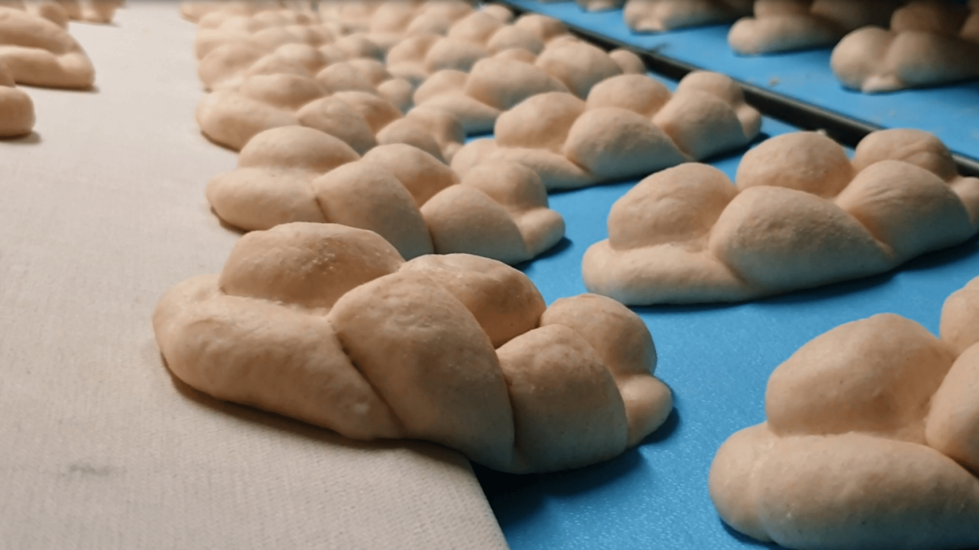 Rows of unbaked, braided bread dough pieces are arranged on a blue surface, ready for baking. The photo is taken up close, showing the texture and details of the dough.