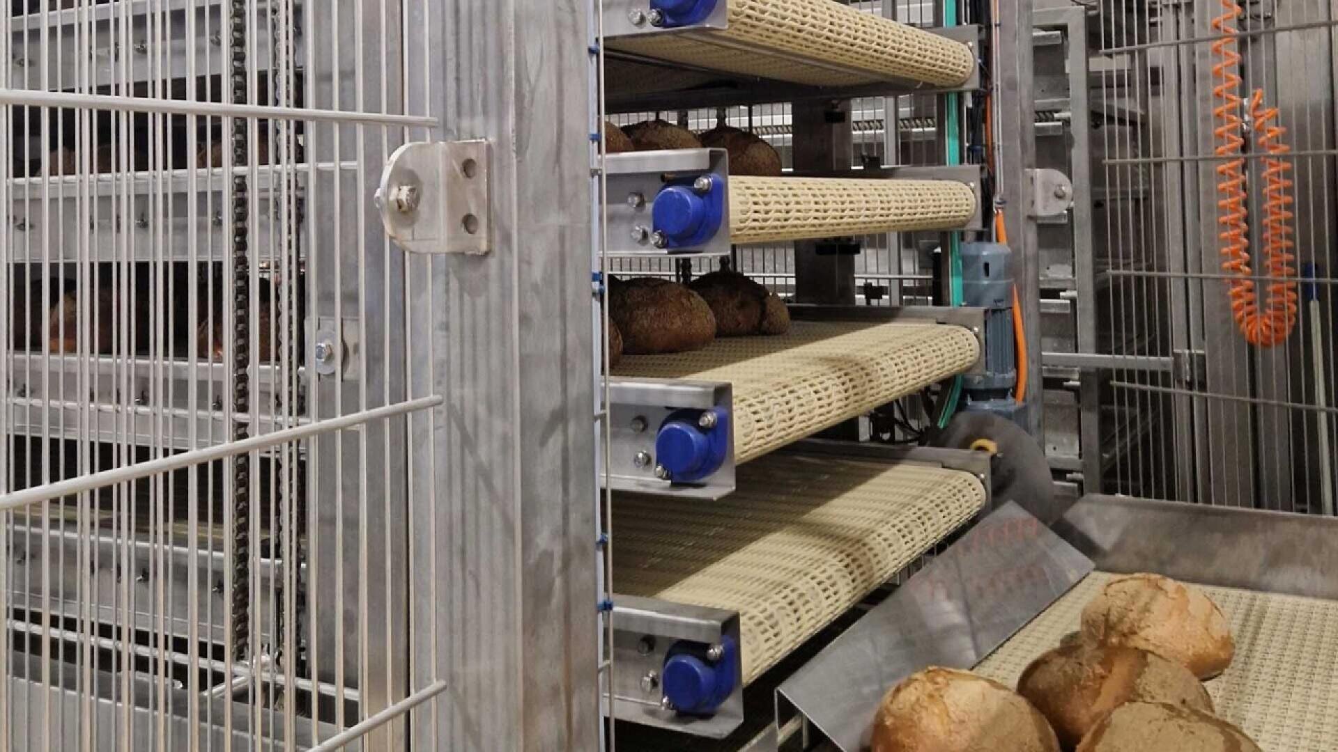 Multiple loaves of bread are on conveyor belts inside an industrial bread cooling or processing machine, with metal racks and mechanical parts visible.
