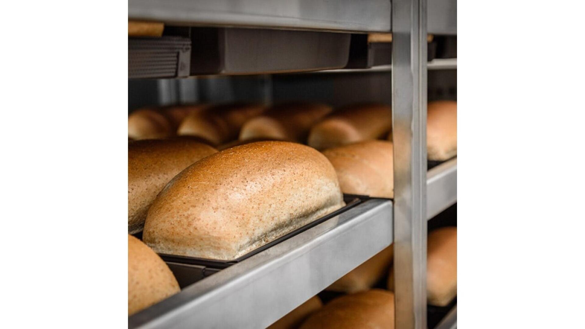 Rows of freshly baked loaves of bread in metal pans are arranged on metal racks, cooling in a commercial bakery setting.