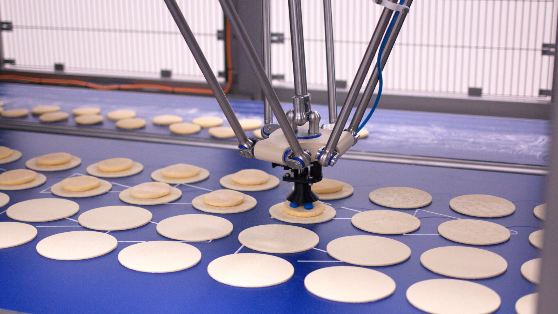 A robotic arm sorts and arranges round pieces of dough on a blue conveyor belt in a food processing factory.