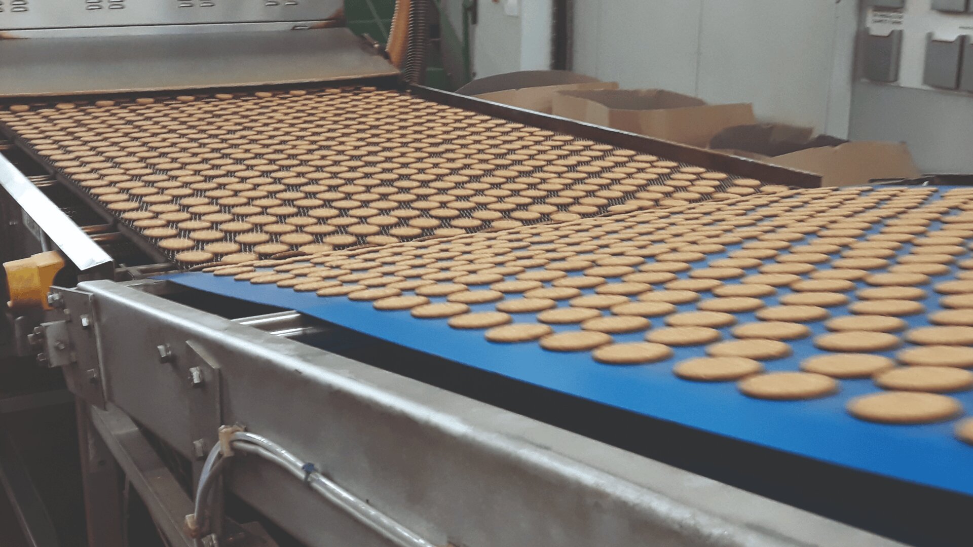 Hundreds of round cookies move along a blue conveyor belt in a factory setting, with machinery and cardboard boxes visible in the background.