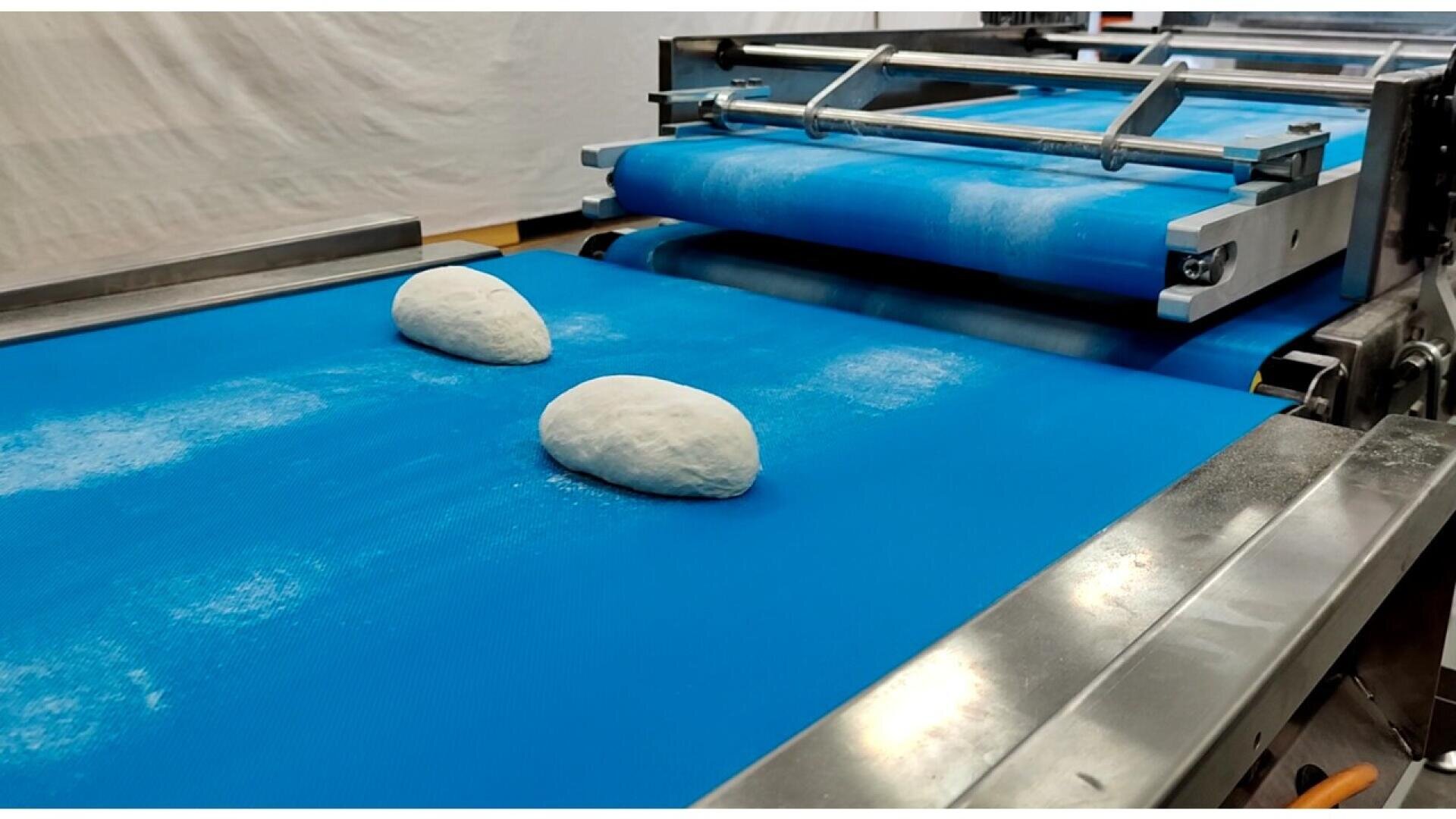 Zwei Teigstücke liegen auf einem hellblauen Förderband, das zu einer industriellen Brotbackmaschine in einer Bäckerei gehört.
