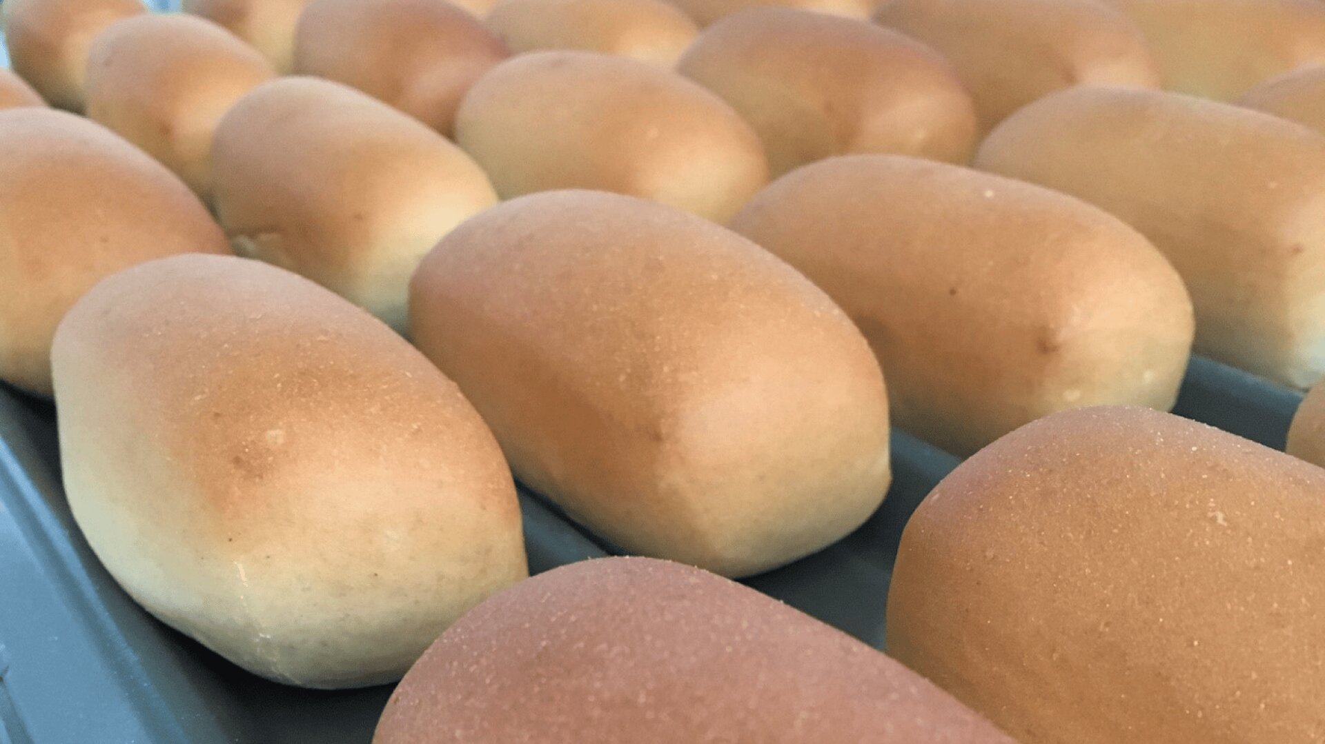 A close-up view of rows of evenly baked, golden brown bread rolls resting on a baking tray.