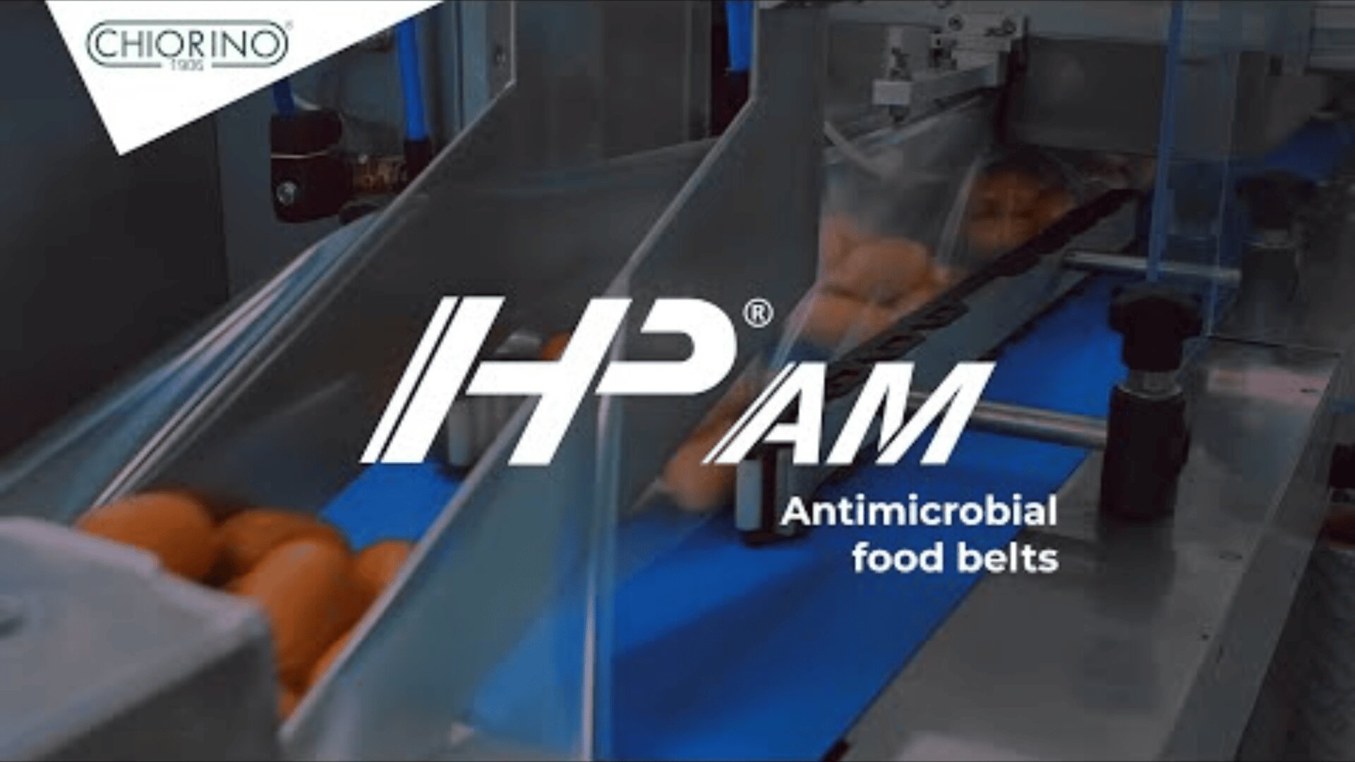 Conveyor belts carry eggs in a food processing facility. The belts are blue, and the text overlay reads HP AM Antimicrobial food belts. The Chiorino logo is in the upper left corner.