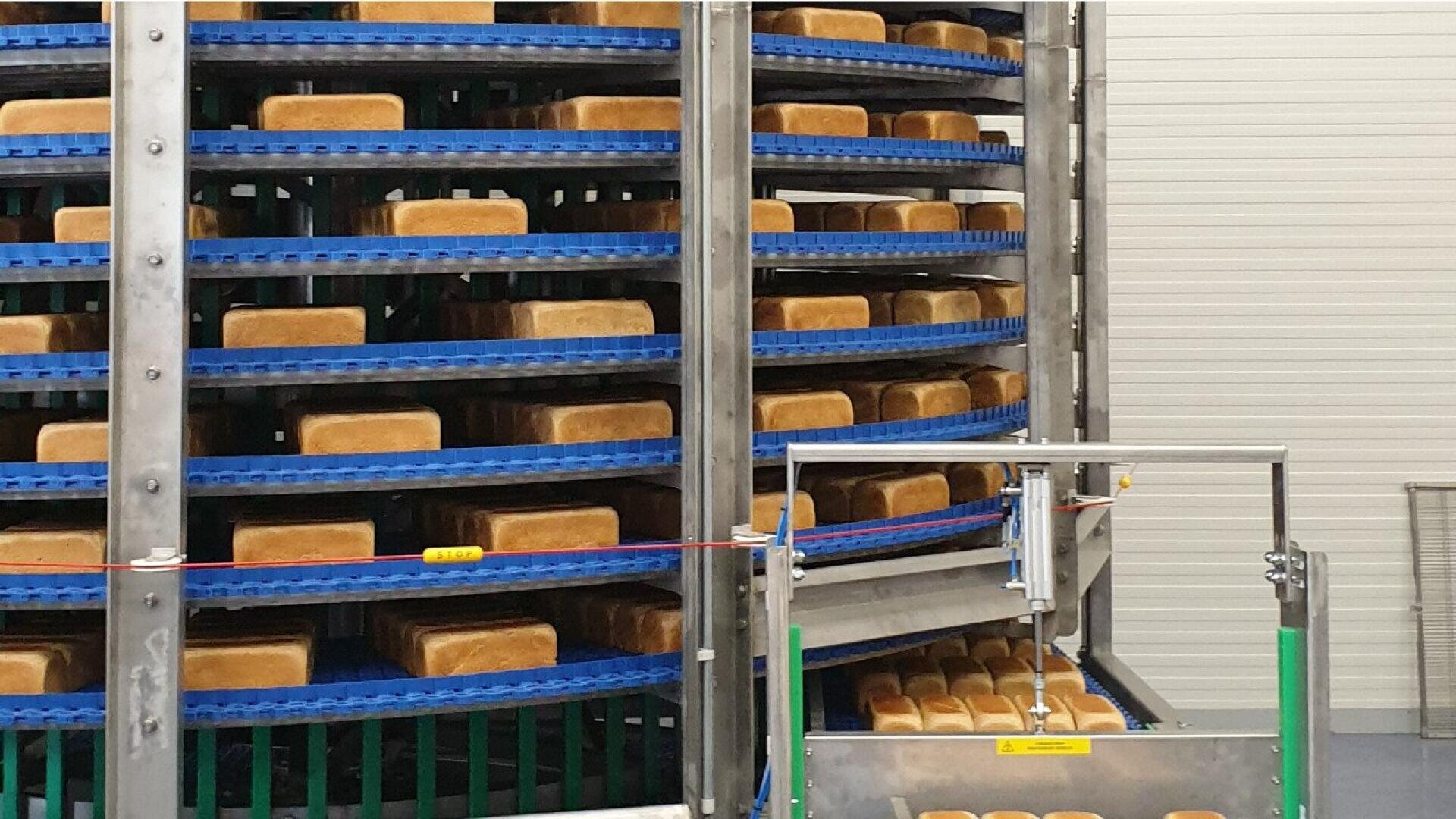 Ein Spiralfördersystem, gefüllt mit mehreren Reihen frisch gebackener Brote in einer Großbäckerei.