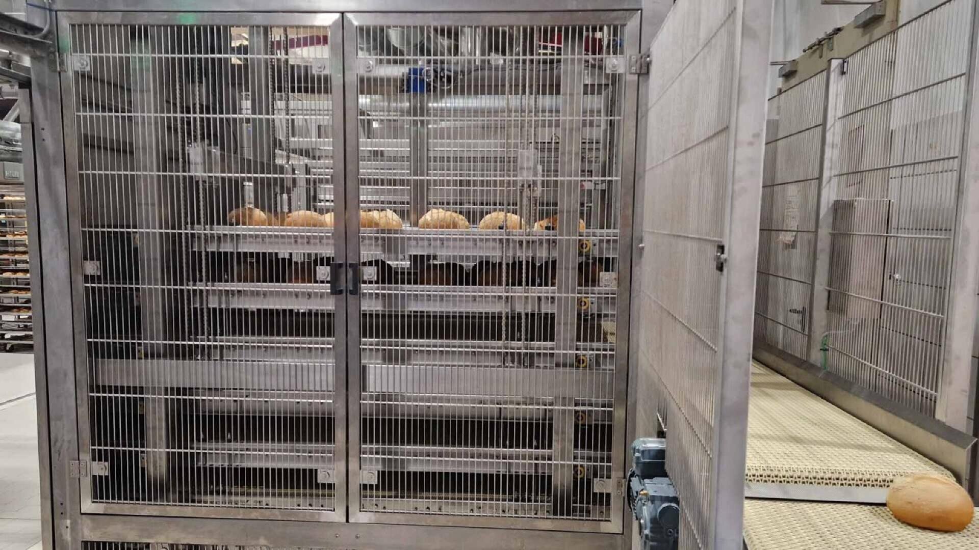 Loaves of bread on metal racks inside an industrial oven behind a metal gate, with a conveyor belt on the right side of the image.