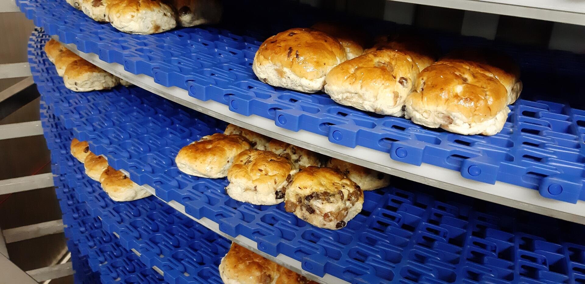 Reihen von frisch gebackenen Brötchen mit Rosinen liegen auf blauen Kunststoff-Förderbändern in einer Großbäckerei und kühlen vor dem Verpacken ab.