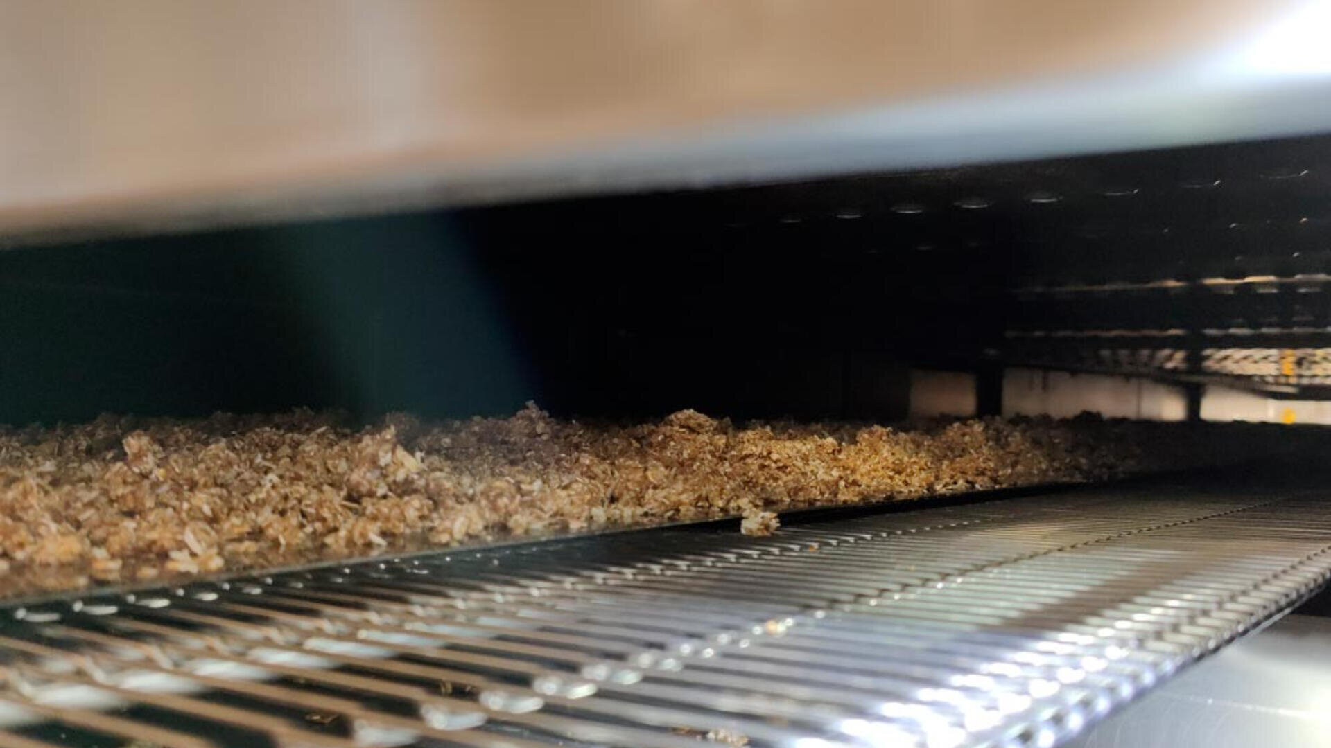 Close-up view of a conveyor belt carrying a layer of brown, crumbly material, possibly food or grain, inside an industrial processing machine. The image shows the metallic mesh belt and the enclosed environment.