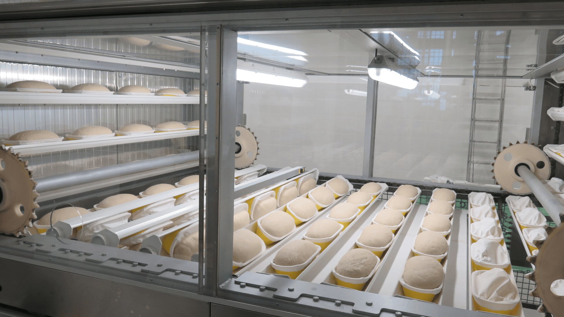 Rows of dough balls are arranged in yellow trays on conveyor belts inside an industrial bakery machine with glass panels and bright lighting.