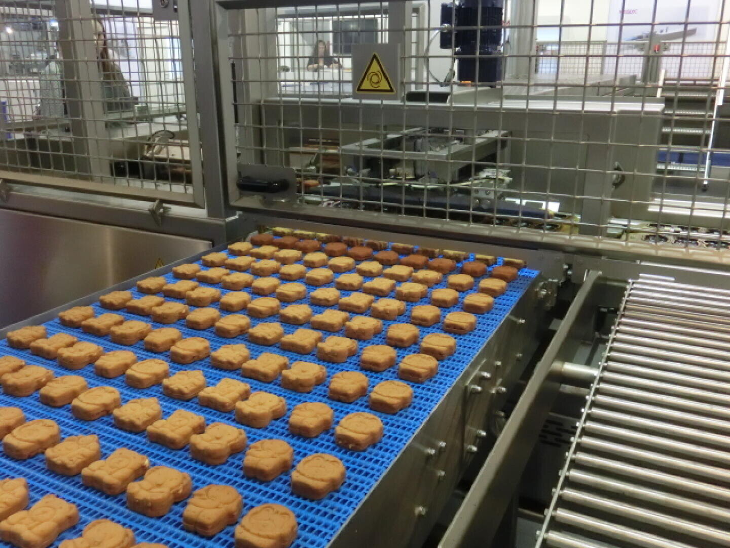 Reihen von Keksen in Form von Zeichentrickbären laufen über ein blaues Förderband in einer industriellen Lebensmittelverarbeitungsmaschine, umgeben von Metall- und Sicherheitsbarrieren.