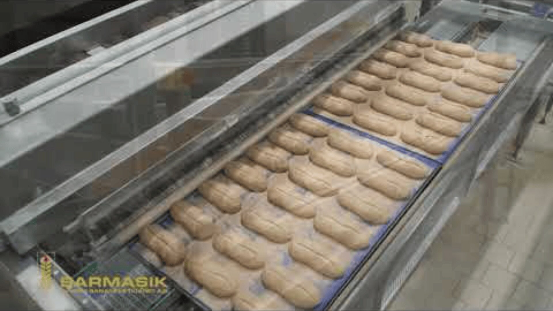 Reihen von rohen Brotteiglaiben sind ordentlich auf Backblechen angeordnet und bewegen sich entlang eines industriellen Fördersystems in einer gewerblichen Bäckerei.