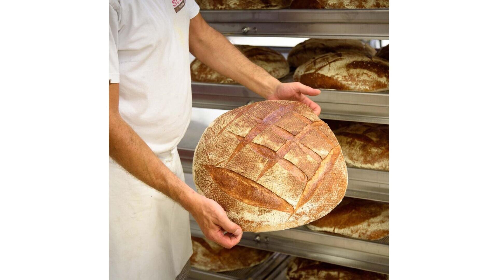 A baker holding a large round loaf of crusty bread with a scored pattern, standing in front of metal shelves filled with similar loaves.