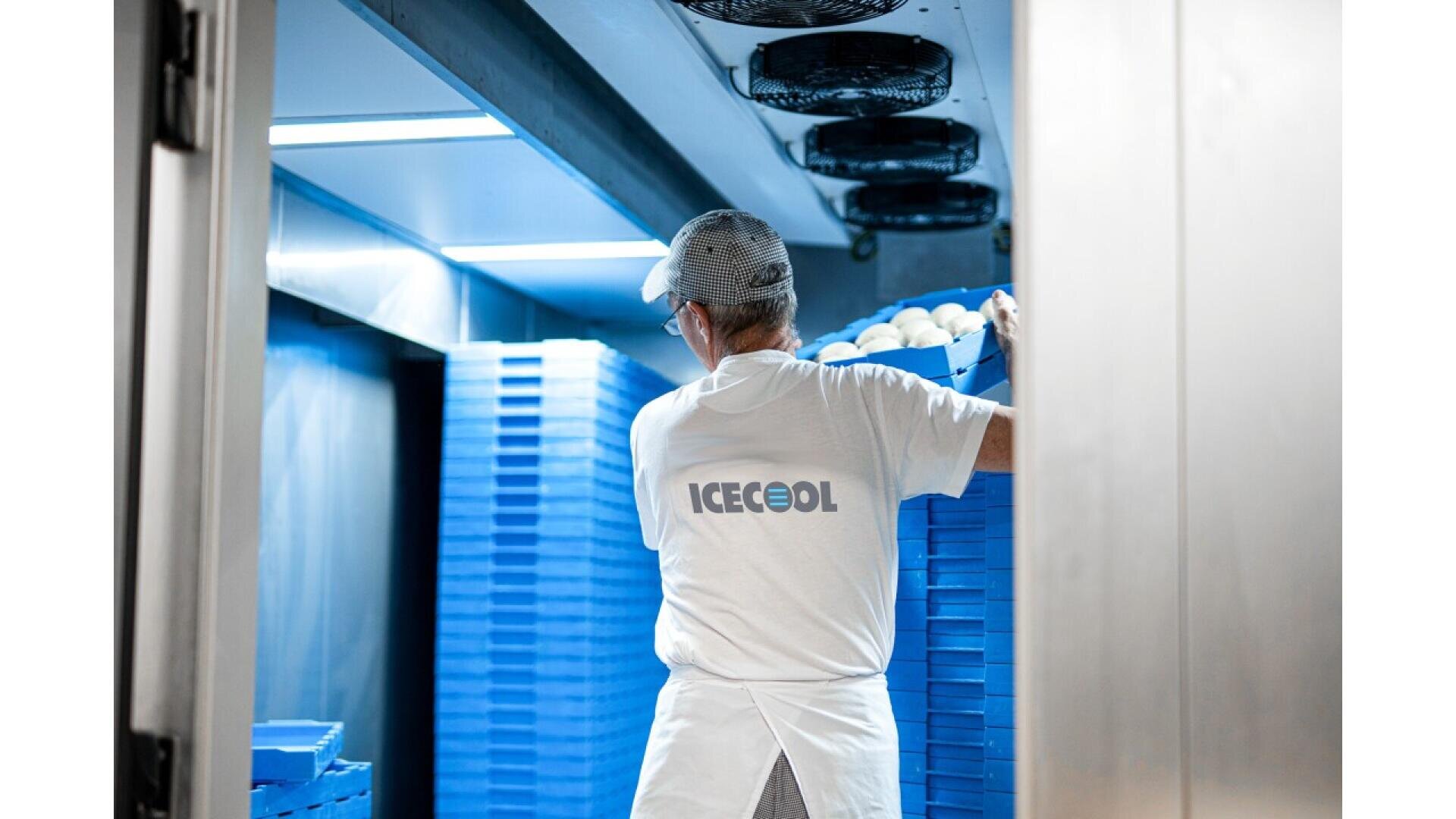 A worker wearing a white ICECOOL shirt and cap stacks blue trays filled with round white items inside a cold storage room with blue lighting.